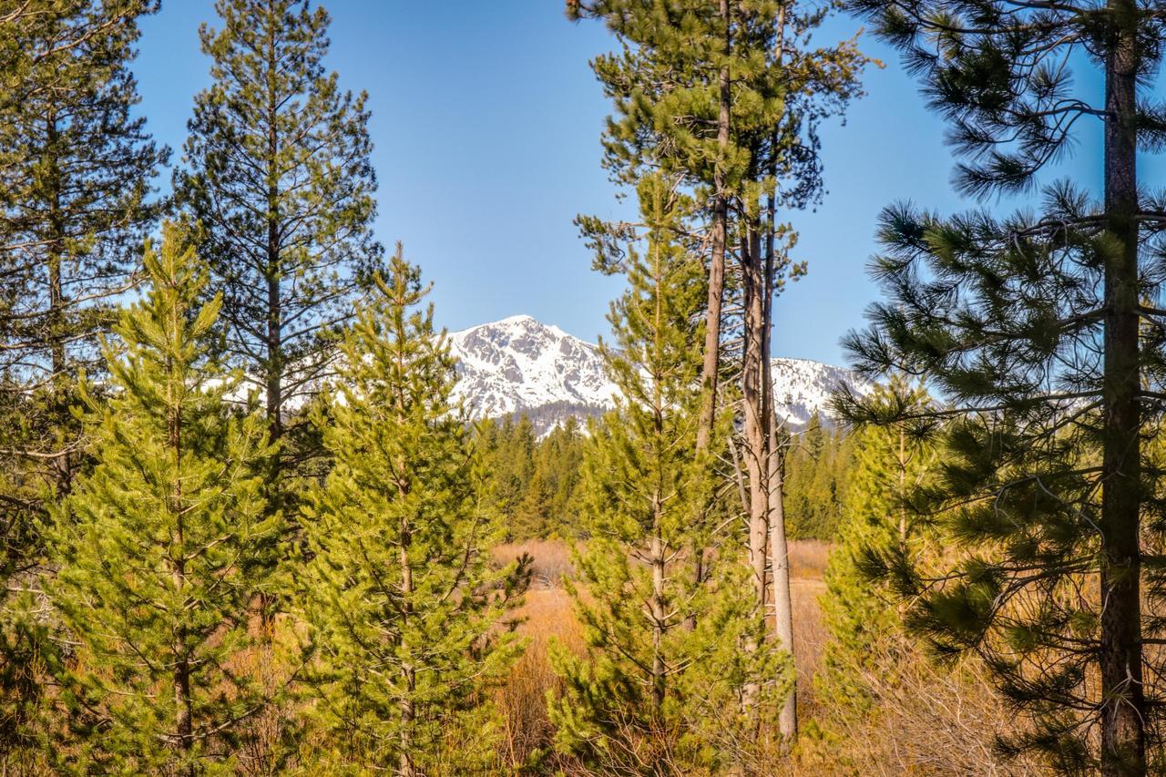 Cozy Seclusion Villa South Lake Tahoe Ngoại thất bức ảnh