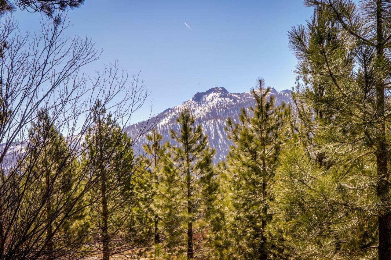 Cozy Seclusion Villa South Lake Tahoe Ngoại thất bức ảnh